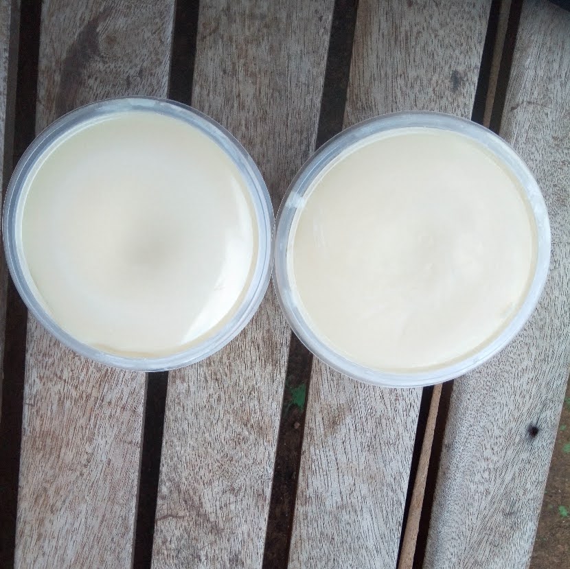 Beurre de cacao brut