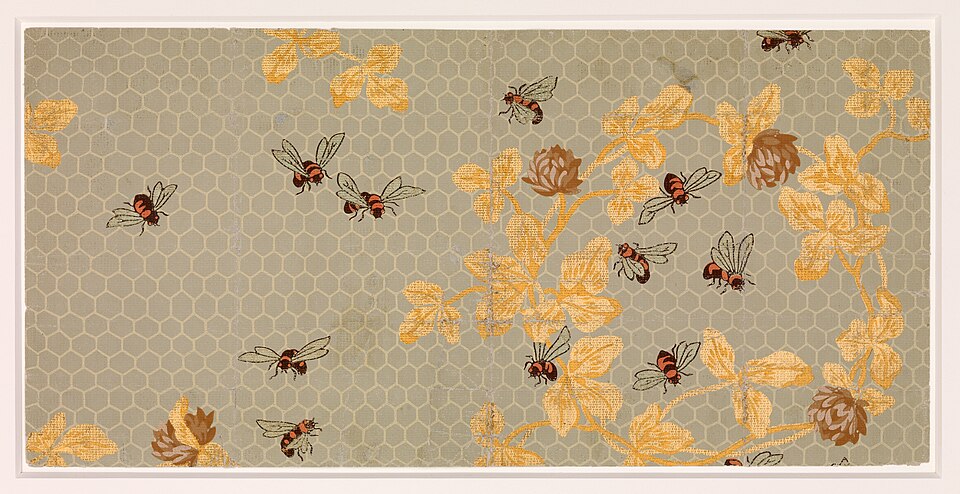 Miel multifloral des Hauts Plateaux
